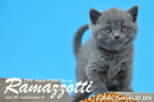 Ramazzotti ist 5 Wochen alt geworden ( 23.09.2016 )