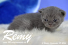 Remy ist 3 Wochen alt ( 09.09.2016 )