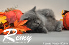 Remy ist 7 Wochen alt geworden ( 08.10.2016 )