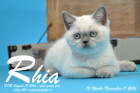 Rhia ist 12 Wochen alt geworden ( 11.11.2016 )