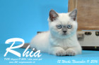 Rhia ist 12 Wochen alt geworden ( 11.11.2016 )