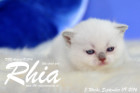 Rhia ist 3 Woche alt geworden ( 09.09.2016 )