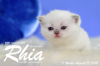Rhia ist 3 Woche alt geworden ( 09.09.2016 )