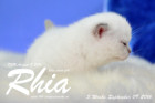Rhia ist 3 Woche alt geworden ( 09.09.2016 )