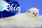 Rhia ist 3 Woche alt geworden ( 09.09.2016 )