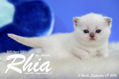 Rhia ist 3 Woche alt geworden ( 09.09.2016 )