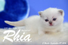 Rhia ist 3 Woche alt geworden ( 09.09.2016 )