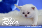 Rhia ist 3 Woche alt geworden ( 09.09.2016 )