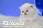 Riccarda ist 3 Wochen alt geworden ( 09.09.2016 )