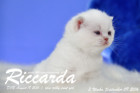Riccarda ist 3 Wochen alt geworden ( 09.09.2016 )