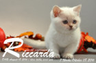 Riccarda ist 7 Wochen alt geworden ( 08.10.2016 )