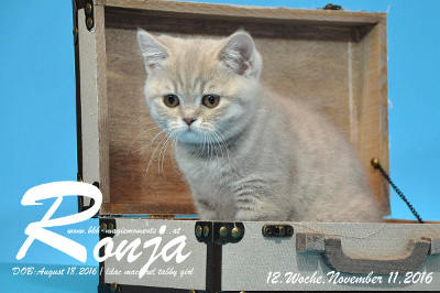 Ronja ist 12 Wochen alt geworden ( 11.11.2016 )