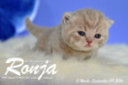 Ronja ist 3 Wochen alt geworden ( 09.09.2016 )