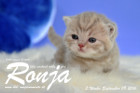 Ronja ist 3 Wochen alt geworden ( 09.09.2016 )
