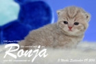 Ronja ist 3 Wochen alt geworden ( 09.09.2016 )