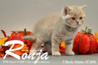 Ronja ist 7 Wochen alt geworden ( 08.10.2016 )