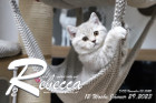 Rebecca ist 12 Wochen alt ( 29.01.2023 )