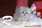 Rebecca ist 3 Wochen alt ( 26.11.2022 )