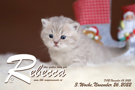 Rebecca ist 3 Wochen alt ( 26.11.2022 )