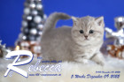 Rebecca ist 5 Wochen alt ( 09.12.2022 )