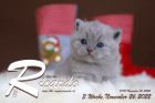Ricardo ist 3 Wochen alt ( 26.11.2022 )