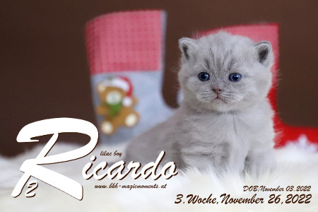 Ricardo ist 3 Wochen alt ( 26.11.2022 )