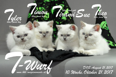 Unser T-Wurf ist 10 Wochen alt geworden ( 21.10.2017 )