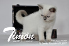 Timon ist 12 Wochen alt ( 05.11.2017 )