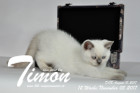 Timon ist 12 Wochen alt ( 05.11.2017 )