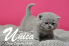 Unica ist 3 Wochen alt ( 08.09.2017)
