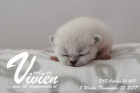 Vivien ist 1 Woche alt ( 05.11.2017 )