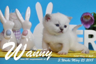Wanny ist 3 Wochen alt ( 25.03.2018 )