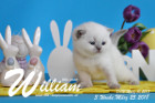William ist 3 Wochen alt ( 25.03.2018 )