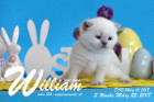William ist 3 Wochen alt ( 25.03.2018 )