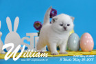 William ist 3 Wochen alt ( 25.03.2018 )