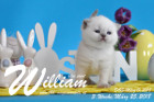 William ist 3 Wochen alt ( 25.03.2018 )