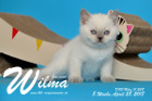 Wilma ist 8 Wochen alt ( 28.04.2018 )
