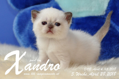 Xandro ist 3 Wochen alt ( 28.04.2018 )