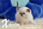Xandro ist 3 Wochen alt ( 28.04.2018 )