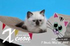 Xenon ist 7 Wochen alt ( 27.05.2018 )