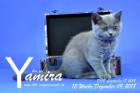 Yamira ist 12 Wochen alt ( 09.12.2018 )