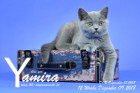 Yamira ist 12 Wochen alt ( 09.12.2018 )