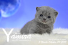 Yamira ist 3 Wochen alt ( 07.10.2018 )
