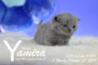 Yamira ist 3 Wochen alt ( 07.10.2018 )
