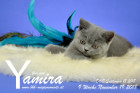 Yamira ist 9 Wochen alt ( 19.11.2018 )