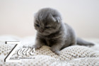 Zeus ist 10 Tage alt ( 26.01.2019 )