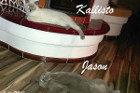 Kallisto und Jason leben gemeinsam in Irnfritz/NÖ