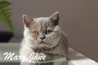 Mary Jane alias Heidi lebt mit ihrer Mama Baylee in Krems/NÖ