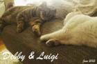 Debby und Luigi beim Chillen