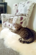 Debby beim Chillen !!!